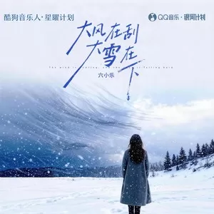 大风在刮大雪在下(DJ默涵版)