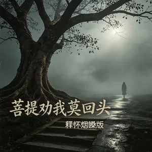 菩提劝我莫回头 （释怀大爷烟嗓版）