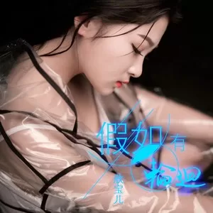 假如有轮回(dj阿远 2019 Extended Mix)