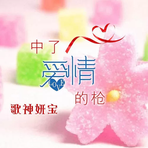 假如有轮回（DJ版）
