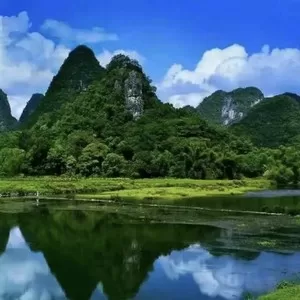 不要问我好不好