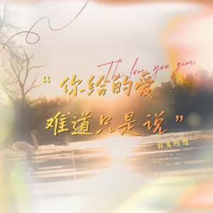 你给的爱难道只是说