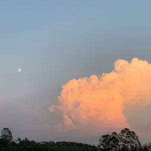 戒定慧