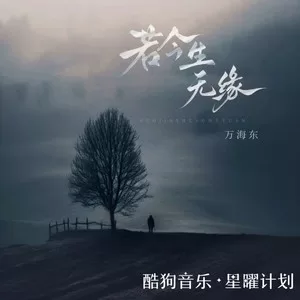 若今生无缘 (若今生已无缘)