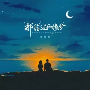 那错过的缘分(本心即答案)