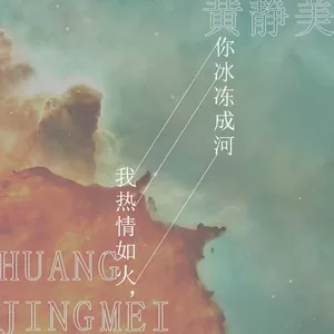 我热情如火，你冰冻成河(DJ沈念版)