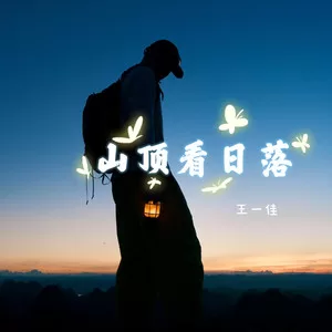 山顶看日落（dj阿尼版）