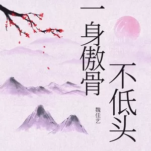 一身傲骨不低头(DJR7版)