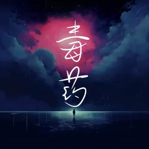 毒药(释怀DJ版)