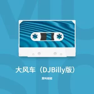 大风车（DJBilIy版）