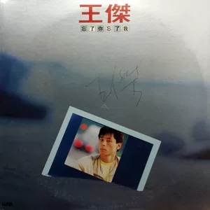 忘了你，忘了我(黑胶版)
