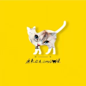 原来你是这种小猫咪