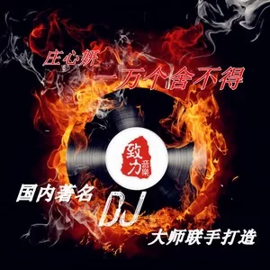 一万个舍不得(DJ 阿圣)