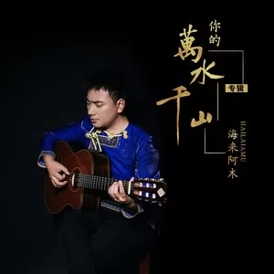 你的万水千山(DJ沈念版)