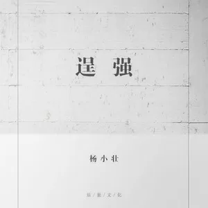 逞强(DJ版)
