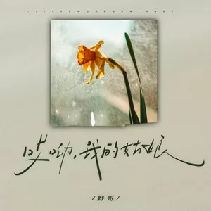 哎呦我的姑娘(DJ豪大大版)