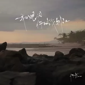 我的眼泪你的战利品(DJ沈念版)