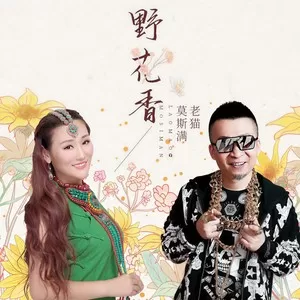 野花香(DJ何鹏版)