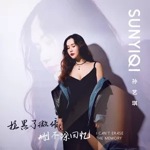 拉黑了微信 删不除回忆(DJ伟然咚鼓版)