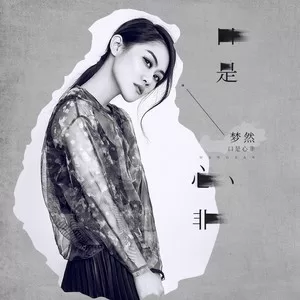 口是心非(DJ沈念版)