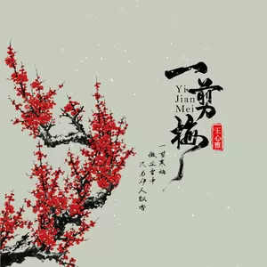 一剪梅(DJ辉总版)