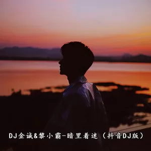 暗里着迷(DJ金诚版)