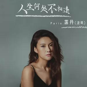 人生何处不相逢(DJ版完整版)