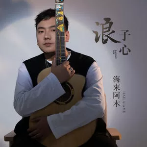 浪子心(DJ沈念版)