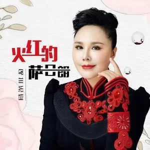 火红的萨日朗(DJ阿卓版)