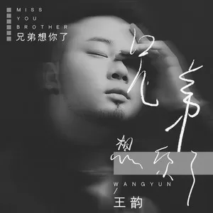 兄弟想你了(DJ沈念版)
