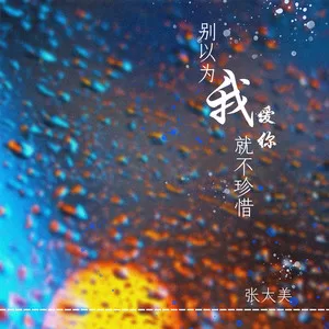 别以为我爱你就不珍惜(DJ名龙版)