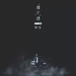 猜不透(DJ野性版)