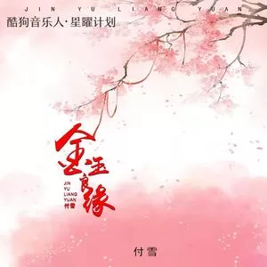 金玉良缘(DJR7版)
