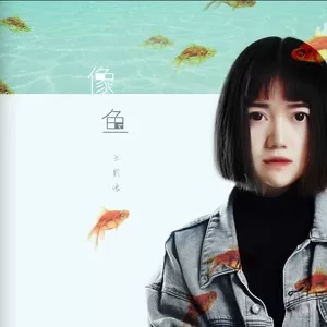 像鱼(DJ阳少版)