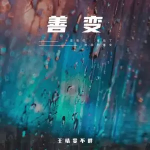 善变(DJ版)