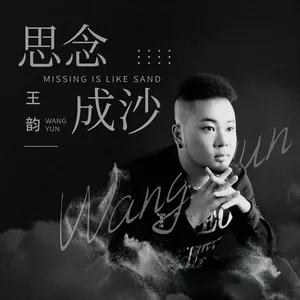 思念成沙(DJ何鹏版)