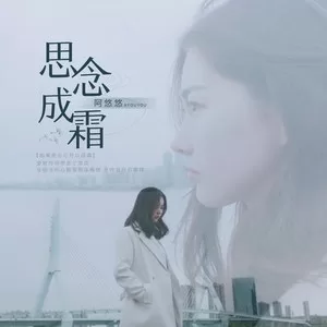 思念成霜(DJ沈念版)