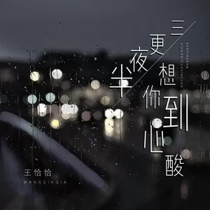 三更夜半想你到心酸(DJ阿卓版)
