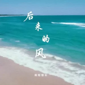 后来的风(DJ德朋版)