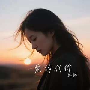 爱的代价（2026深情版）