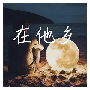 在他乡(女声DJ版) (cover: 浪子进)