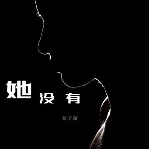 她没有（DJ版）