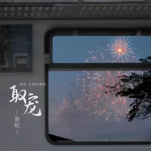 取宠(DJ楠哈哈版)
