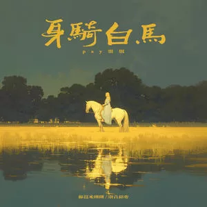 身骑白马DJ(pay姐唯一正版)