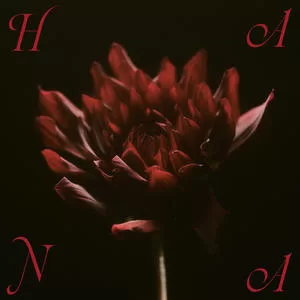 Bloom