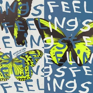 Catching Feelings(Organic Version)