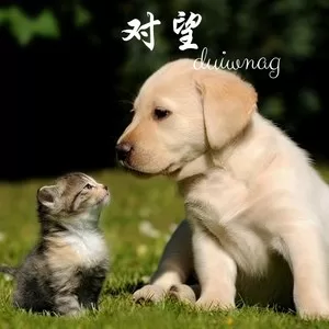 等你的季节(抖音热播版)