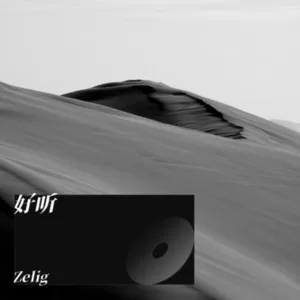 世间美好与你环环相扣 (cover: 赵雨曦)
