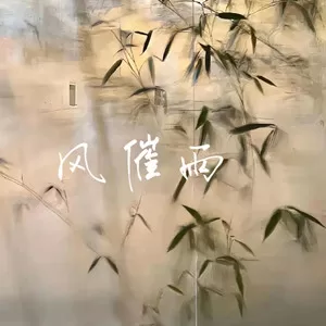 风催雨(DJ版)