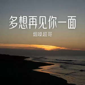 多想再见你一面